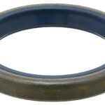 Wheel Hub Seal - BMW