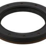 Differential Shaft Seal - VW/Audi