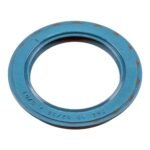 Shaft Seal For Wheel Bearing - VW/Audi