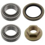 Wheel Bearing Kit - Ford