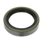 Shaft Seal For Wheel Bearing - Mercedes