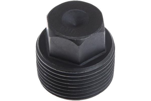 23117527440.jpg Transmission Drain Plug - BMW - Image 1