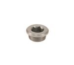 Differential Oil Drain or Check Plug (22x1.5mm) - BMW