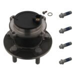 Wheel Bearing Kit with Wheel Hub - Volvo