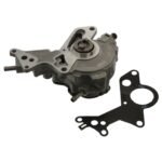 Tandem Pump - VW/Audi