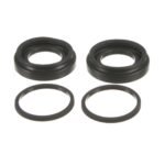 Rear Caliper Reseal Kit - VW/Audi (many models check fitment)
