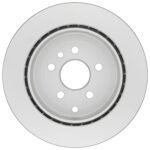 Quietcast Disc Brake Rotor (302x20mm) - Image 2
