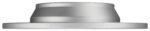 Quietcast Disc Brake Rotor (301x11mm) - Image 3