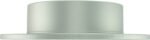 Quietcast Disc Brake Rotor (309x10mm) - Image 3