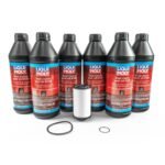 DSG Transmission Filter Kit with Liqui-Moly Fluid DQ250