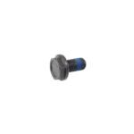 Flywheel Bolt (M10x1x19.5mm) 6 Point - VW/Audi