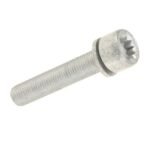 Rear Caliper Carrier Bolt (M12x1.5x65) - VW/Audi (many models check fitment)