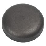 Seal Plug - GM