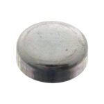 Seal Plug - GM