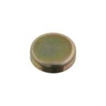 Seal Plug - GM