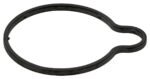 Vacuum Pump Gasket - Volvo
