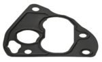 Oil Filter Housing Gasket - Jaguar