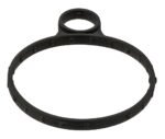 Vacuum Pump Gasket - Ford