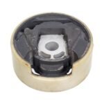 Engine Mount - VW/Audi