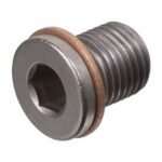 Oil Drain Plug - VW/Audi
