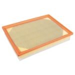 Air Filter - Nissan