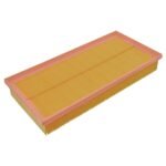Air Filter - Land Rover
