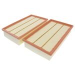 Air Filter Set - Jaguar