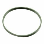 Sealing Ring For Throttle Body - VW/Audi