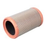 Air Filter - Nissan