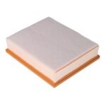 Air Filter - VW/Audi