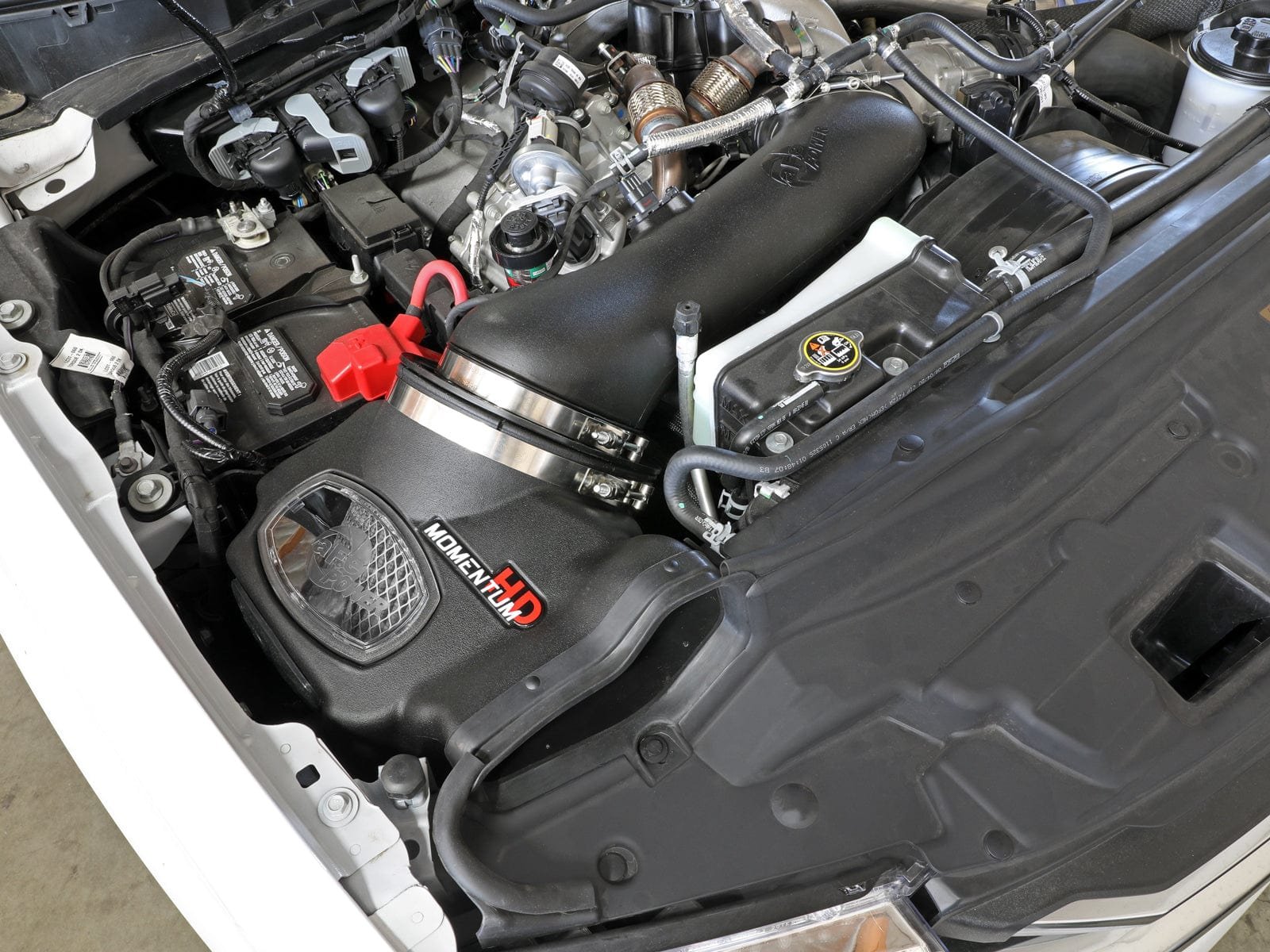 52ef9a4a1865cd6fd4738bab15ba0265.jpg Product - Image 1
