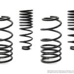 Neuspeed Sport Springs Kit - VW Passat B3
