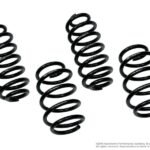 Neuspeed Sport Spring Kit / Passat B5.5 / 5 / 1.8T / Sedan from vin VIN 3B_YE121222