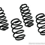 Neuspeed Sport Springs / Mk6 GTi / GLi 2.0T and all Jetta 2014 - up