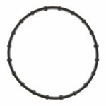 Engine Oil Filter Adapter Gasket