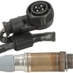 Oxygen Sensor