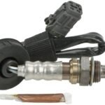 Oxygen Sensor