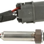 Oxygen Sensor