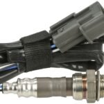 Oxygen Sensor