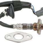 Oxygen Sensor