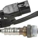 Oxygen Sensor