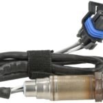 Oxygen Sensor