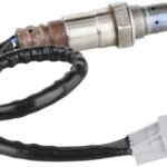 Oxygen Sensor