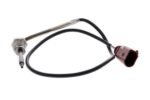 Exhaust Gas Temperature Sensor - VW/Audi