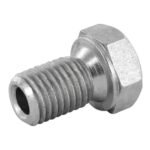 Oil Pan Drain Plug - BMW