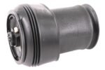 Air Spring Strut - BMW